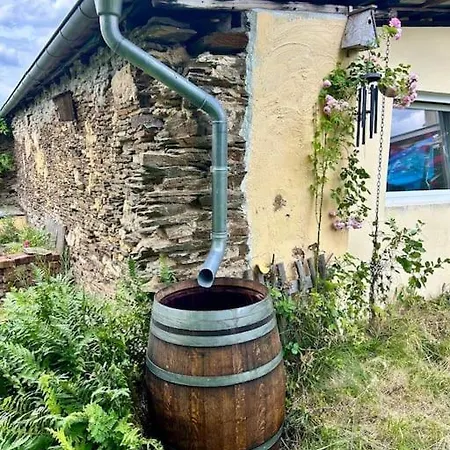 Moselurlaub Am Stabenhof, Whirlpool, Natur Und Grill