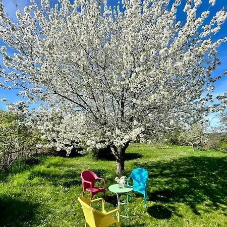 Moselurlaub Am Stabenhof, Whirlpool, Natur Und Grill アパート