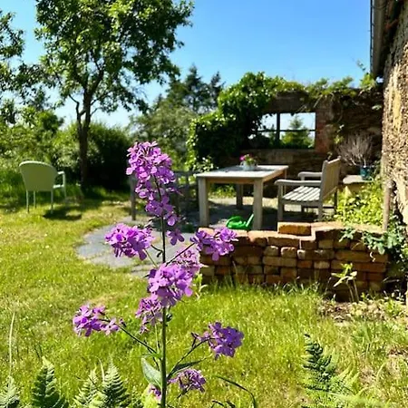 Moselurlaub Am Stabenhof, Whirlpool, Natur Und Grill アパート *