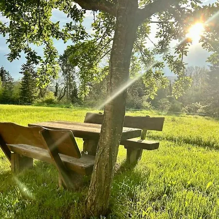 Moselurlaub Am Stabenhof, Whirlpool, Natur Und Grill * ブローデンバッハ
